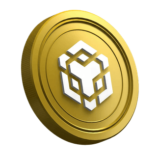 Moeda da criptomoeda Binance BNB aparece na página do guia para traders iniciantes